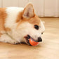 🎁🐶Automatic Smart Teasing Dog Ball That Can't be Bitten