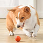 🎁🐶Automatic Smart Teasing Dog Ball That Can't be Bitten