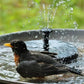 🔥Erikoistarjous -50 %🔥🔥Aurinkokäyttöiset lintualtaat🐦️