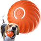 🎁🐶Automatic Smart Teasing Dog Ball That Can't be Bitten