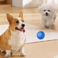 🎁🐶Automatic Smart Teasing Dog Ball That Can't be Bitten