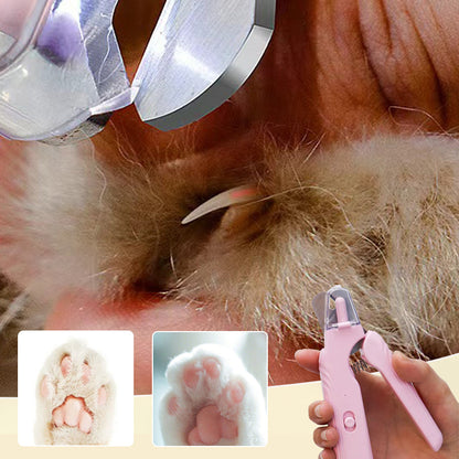 🐾 50 % alennus! ✨ Turvallinen 2-in-1 LED-kynsileikkuri ja -viila lemmikeille – terävä ruostumaton terä, roiskesuoja ja hiljainen moottori – hellävaraista hoitoa koirille ja kissoille 🐶
