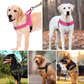 🥳 2026 HITIT MYYNNISSÄ 🥳 💞 YLI 50 000 MYYTY! 🐕💪 🏷️ -50 % ALE!  Kestävät taktiset koiravaljaat – ei vetoa, ei tukehtumista. Heijastinnauhat yökävelyihin. Pehmustettu helppotarttuinen kahva. 🛡️✨