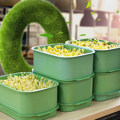 Stackable Bean Sprout Grower Box
