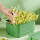 Stackable Bean Sprout Grower Box