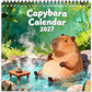 🎁💝Hauska Capybara-kalenteri 2027