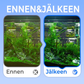 ✨3-in-1-suodinuallas - suodatus, hapettuminen ja veden pumppaus
