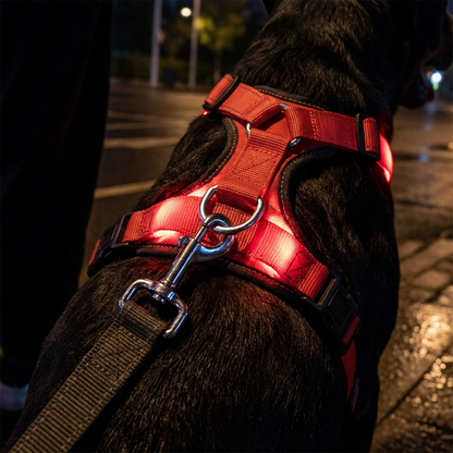 🔥50 % ALENNUS!!📢🐕 Valaisevat LED-koiranvaljaat – Pysykää paremmin näkyvillä iltakävelyillä ja varmistakaa koirallenne mukava olo ✨