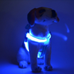 🔥50 % ALENNUS!!📢🐕 Valaisevat LED-koiranvaljaat – Pysykää paremmin näkyvillä iltakävelyillä ja varmistakaa koirallenne mukava olo ✨